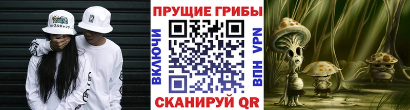 Галлюциногенные грибы мицелий  Шумерля 